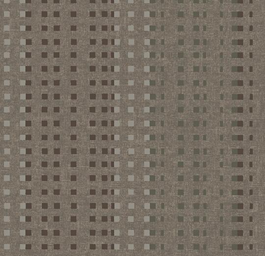580026 Trace Camel
