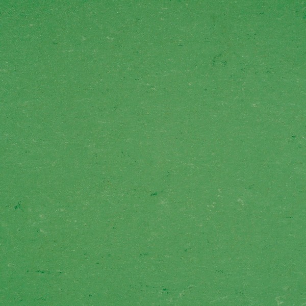 131-006 vivid green