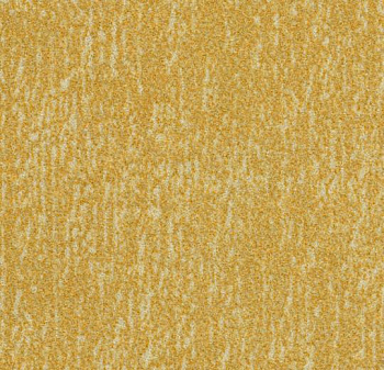 s445030 Canyon sulphur