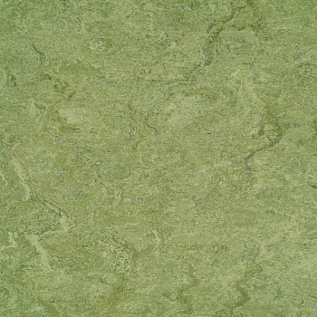 125-100 frog green